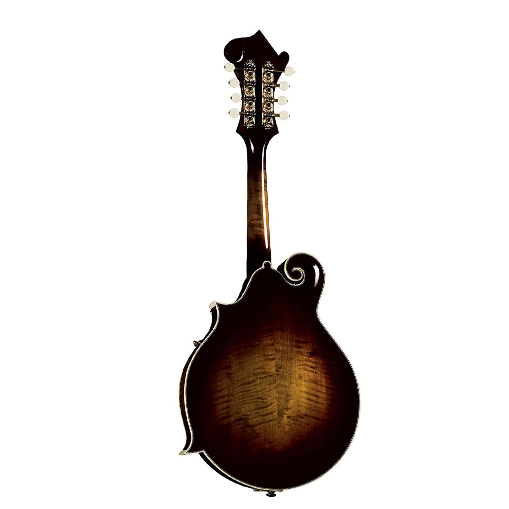 Mandolina akustyczna dla począ – Mandolin A Style recenzja i cena